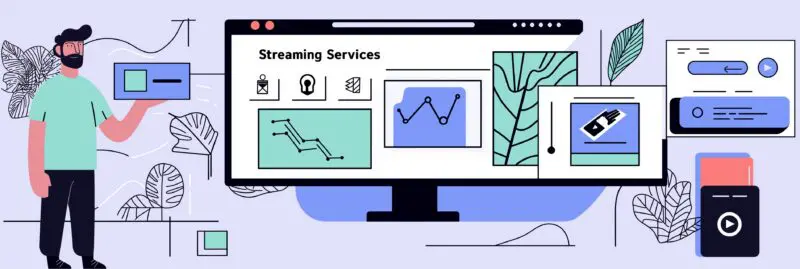 Streaming services for monthly/yearly revenue